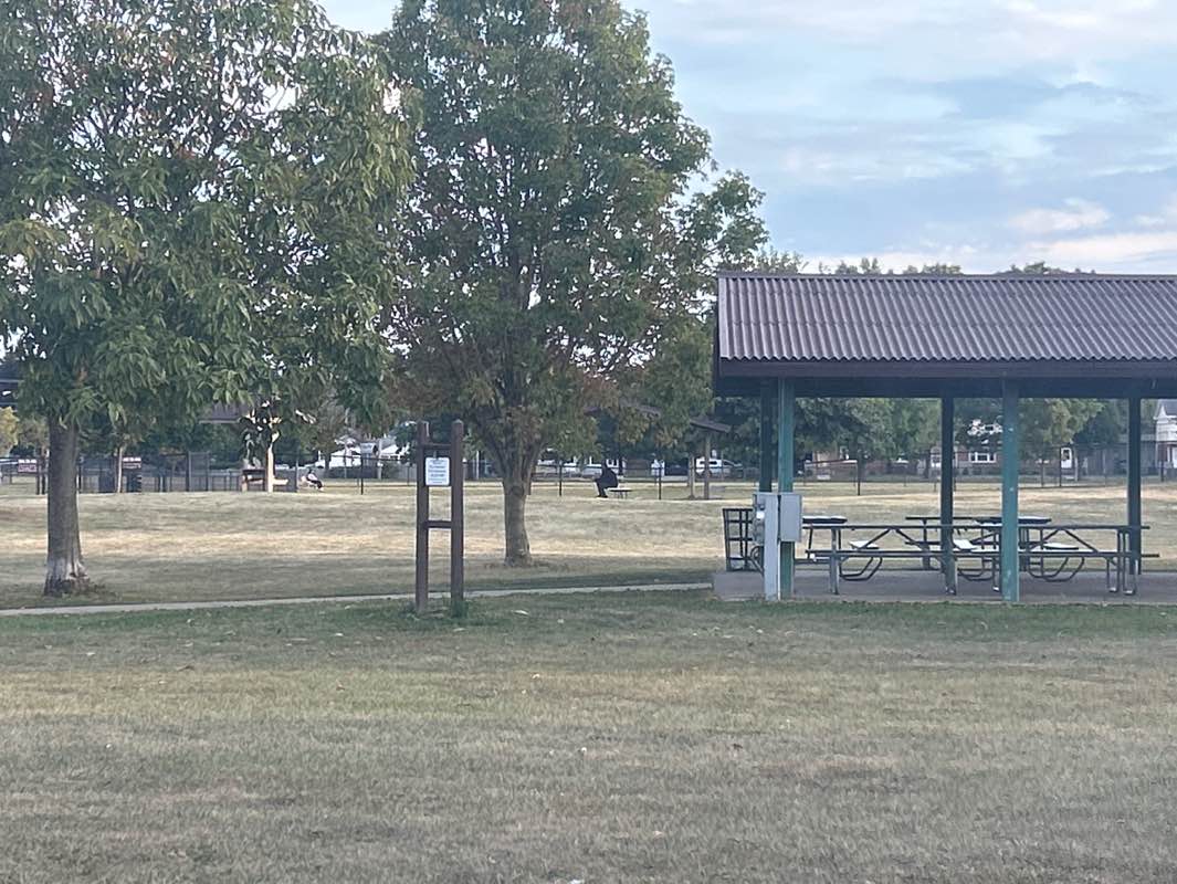 walking near me in Anderson Park in autumn