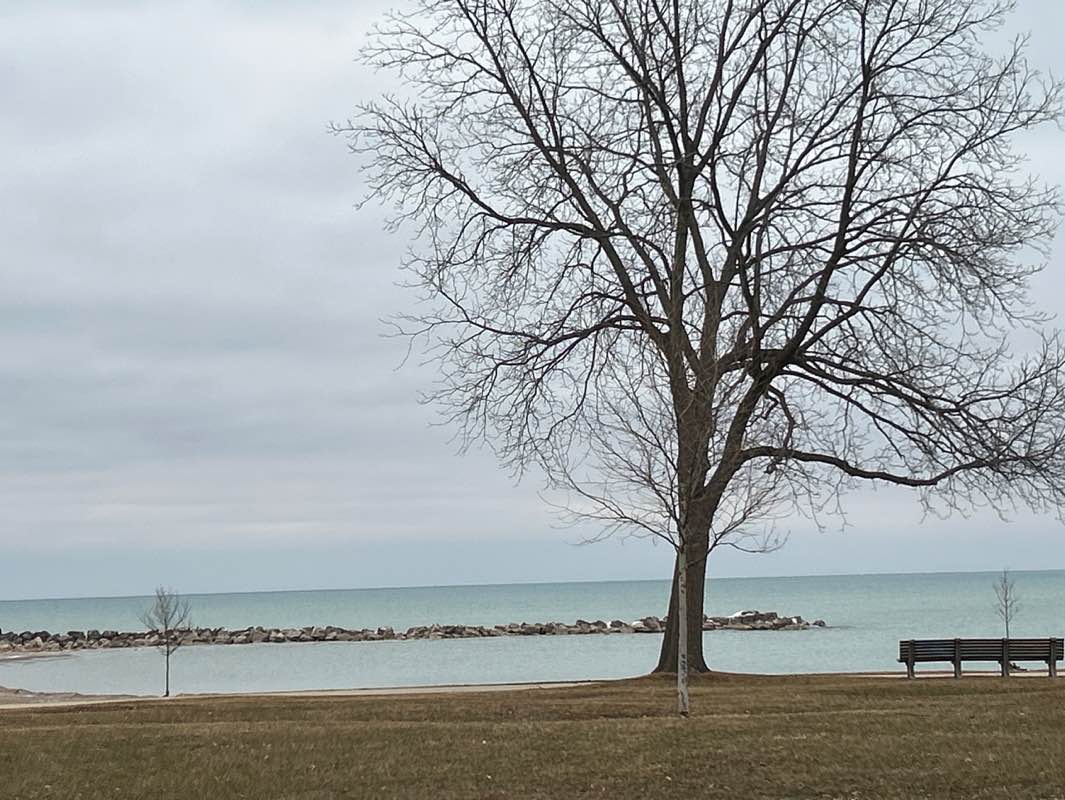 walking near me in Eichelman Park in winter