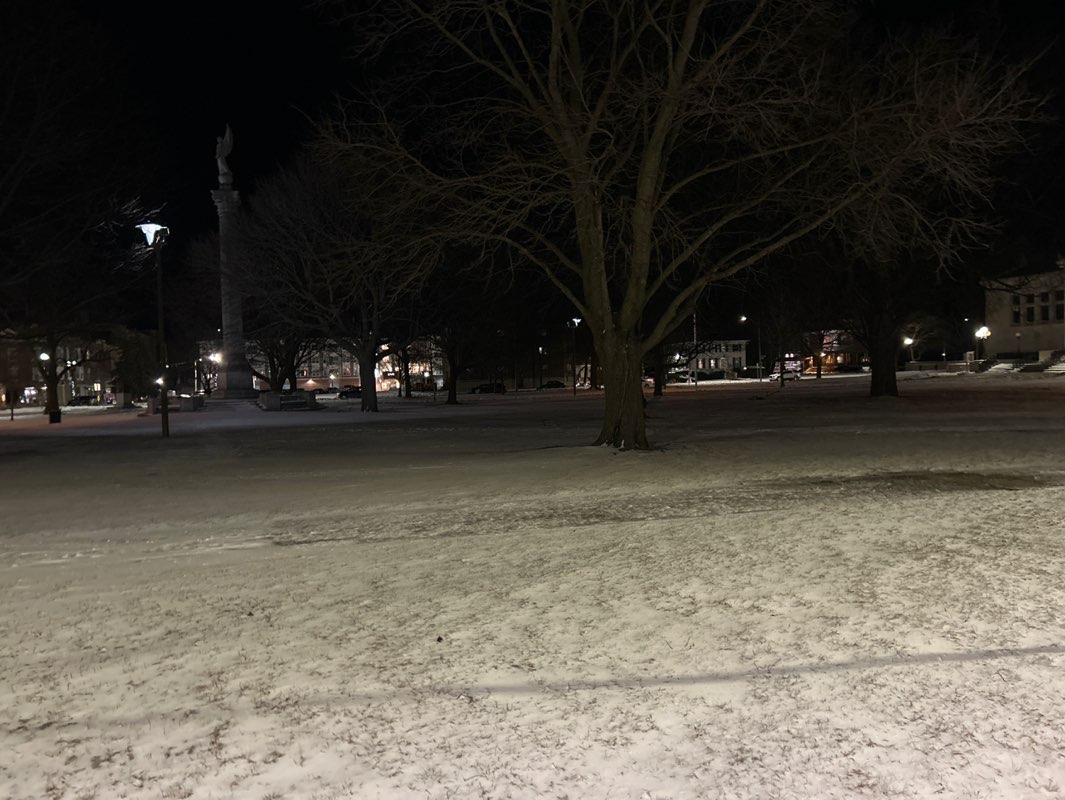 walking near me in Library Park in spring