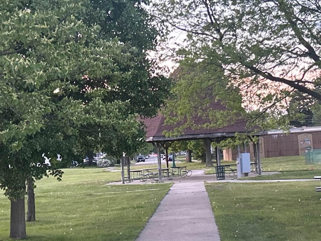 walking near me in John Hobbs Park in summer