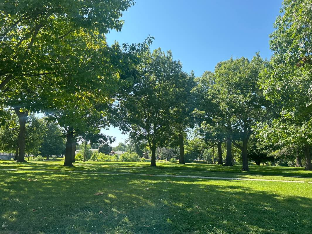 walking near me in Lincoln Park in summer