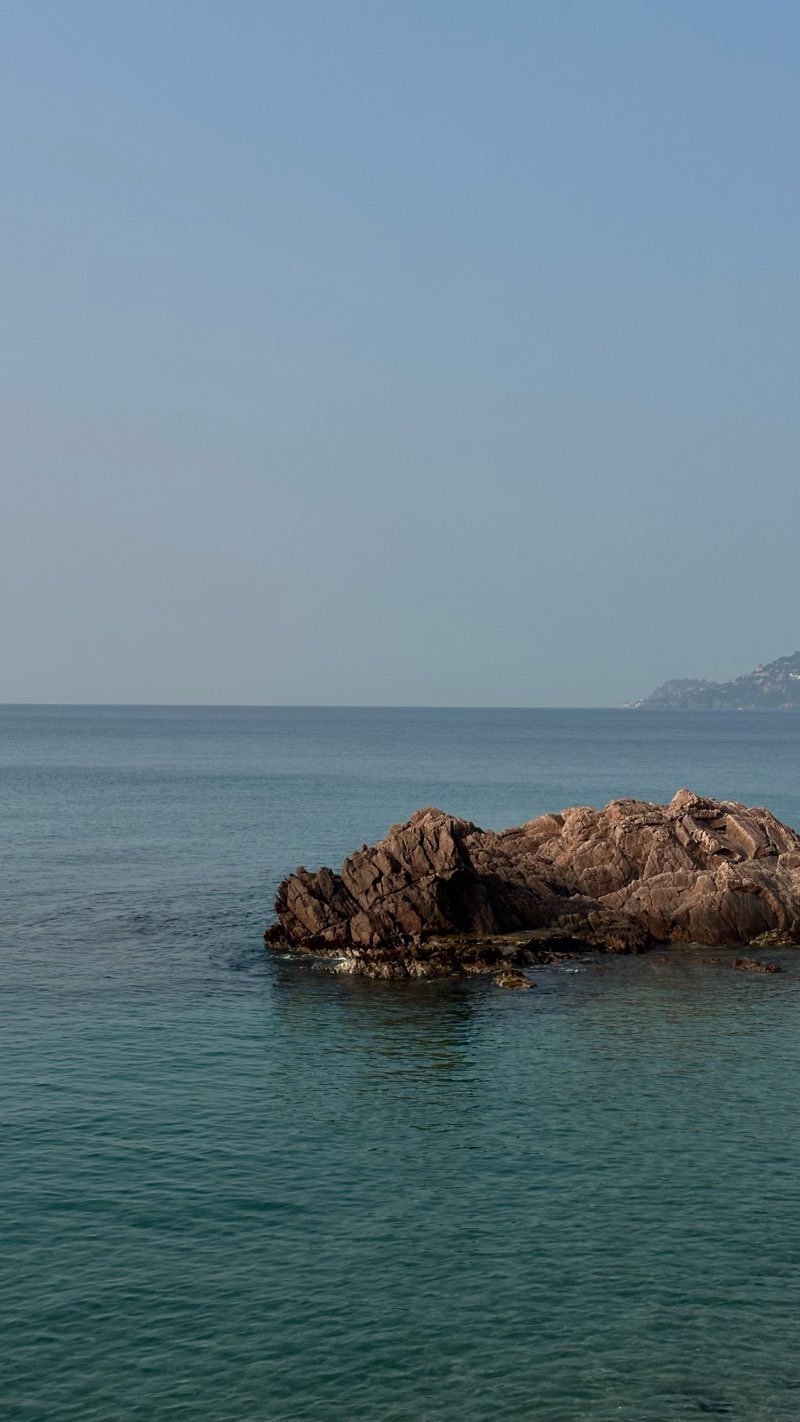 walking near me in Square Frédéric Mistral in summer
