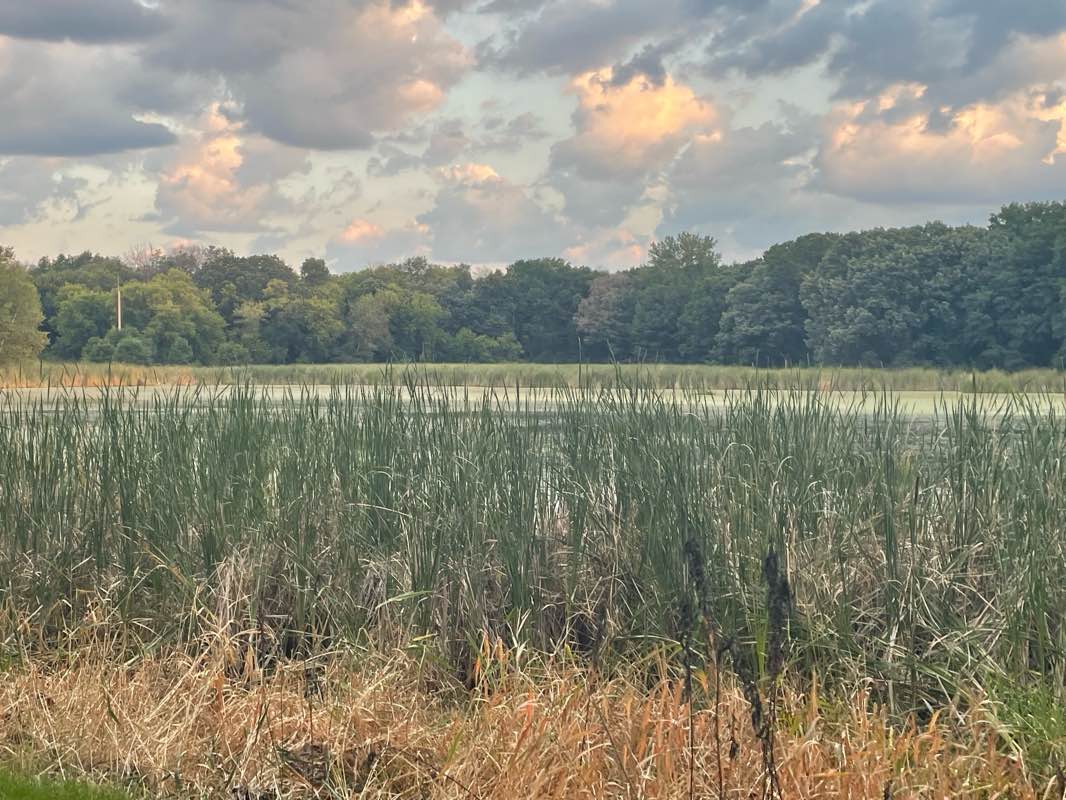 walking near me in Valley Creek Park in autumn