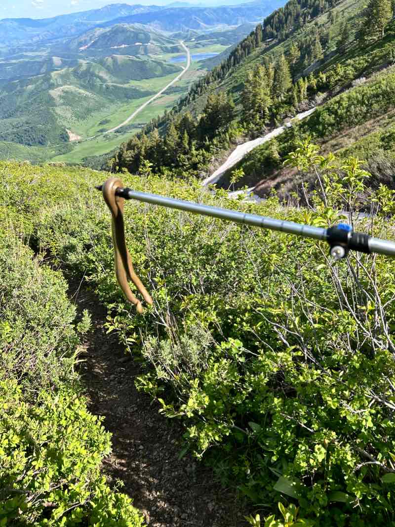 walking near me in Wellsville Mountain Wilderness in winter