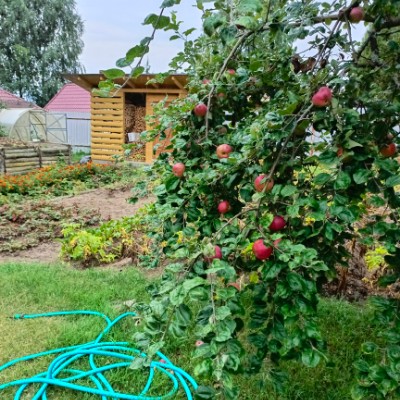Pskov-sport Вэл post image