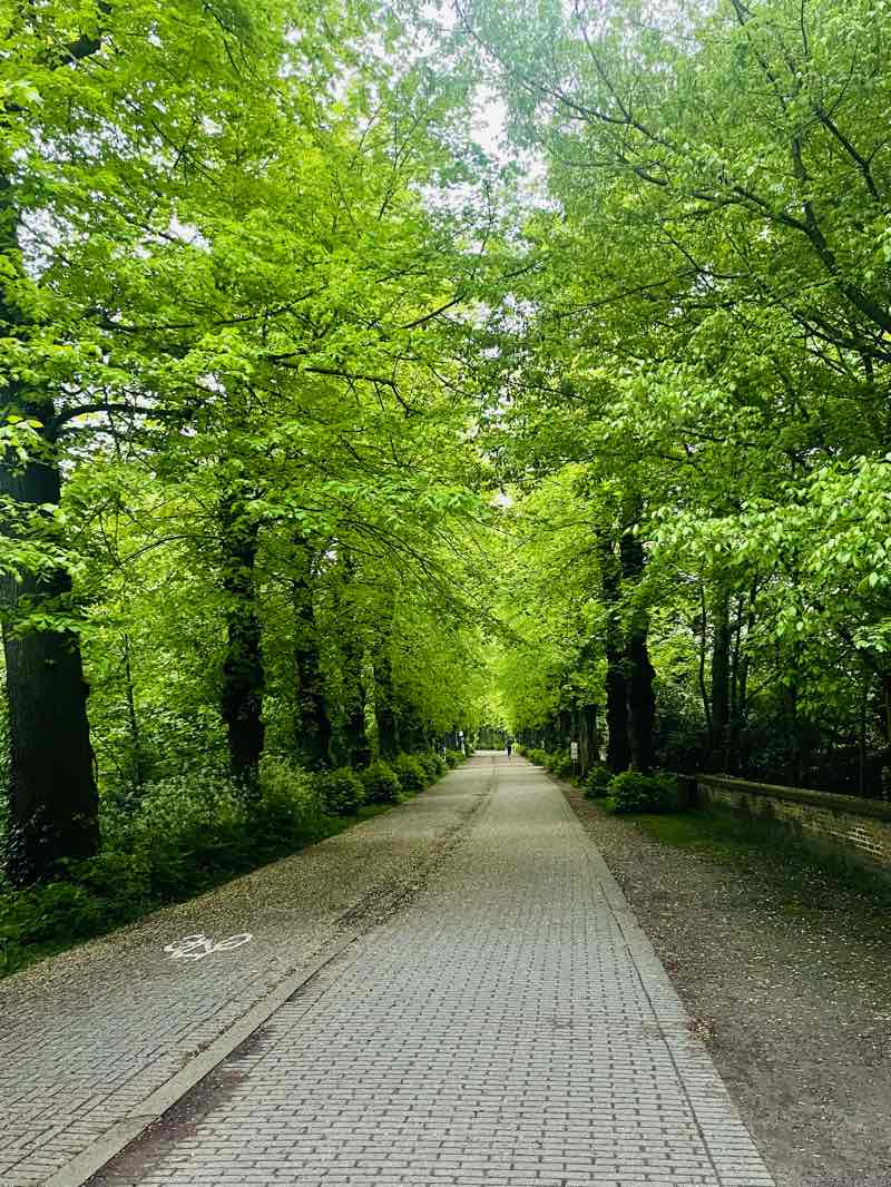 walking near me in Koning Albert I-park in winter