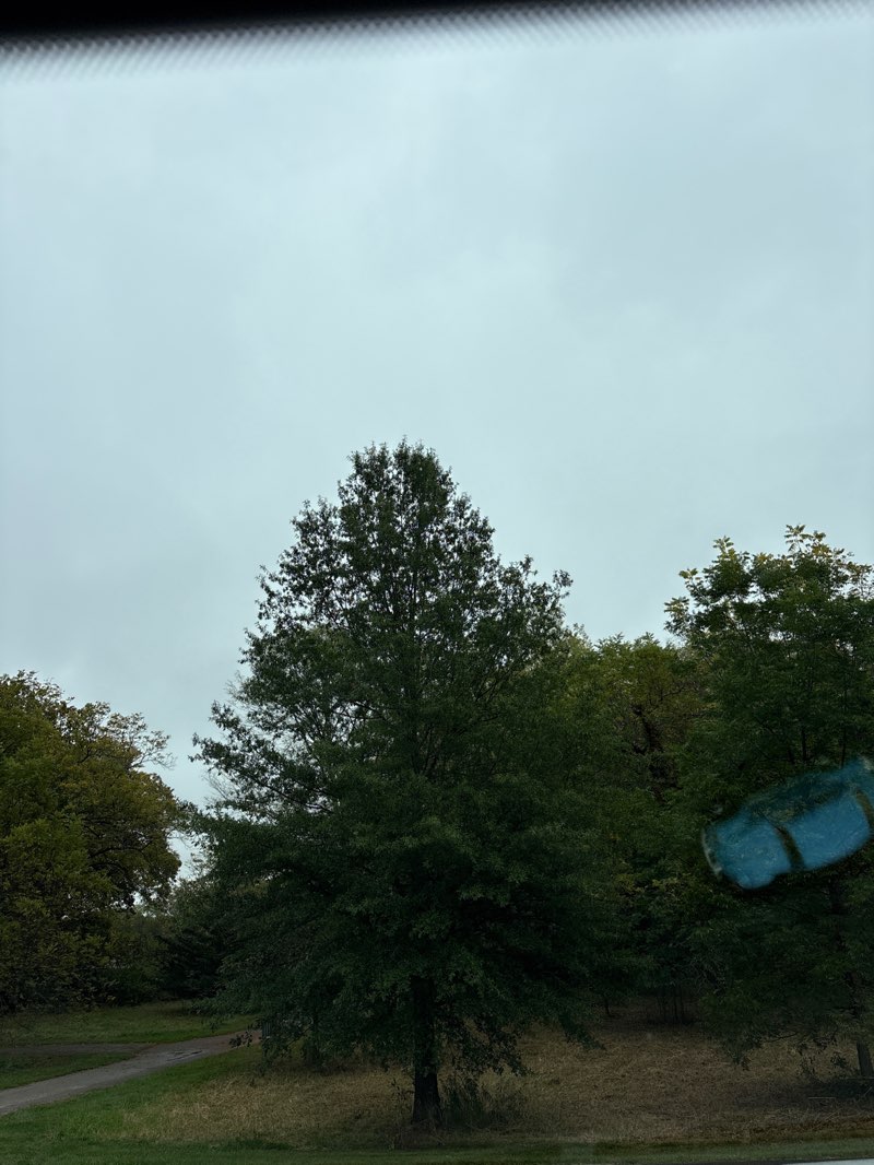 walking near me in Ironwoods Park in autumn