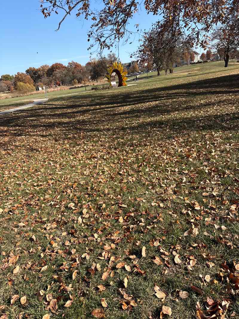 walking near me in Meadowbrook Park in autumn