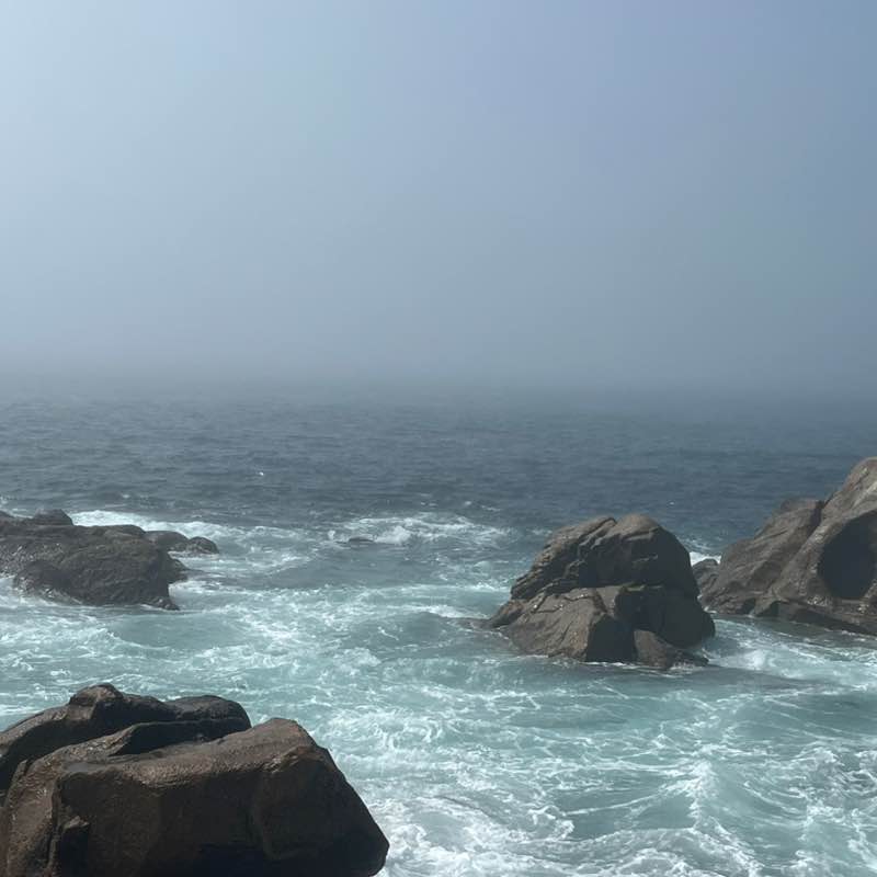 ๐SEA ๐WAVES ๐ Branson(Runner๐โโ๏ธ) post image