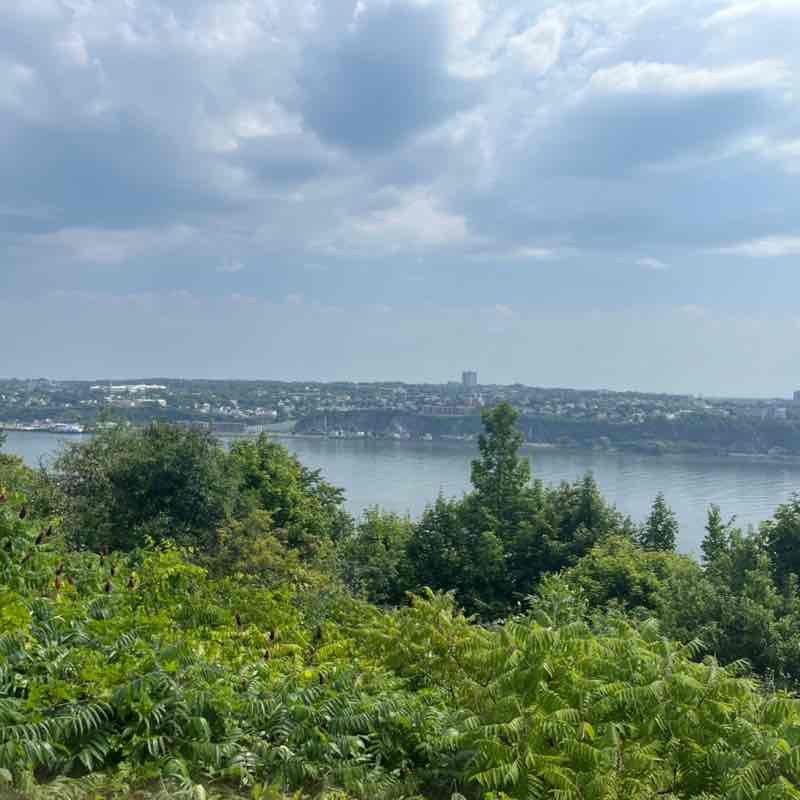 🏔Nature Group🏔 Runner🏃‍♂️ post image