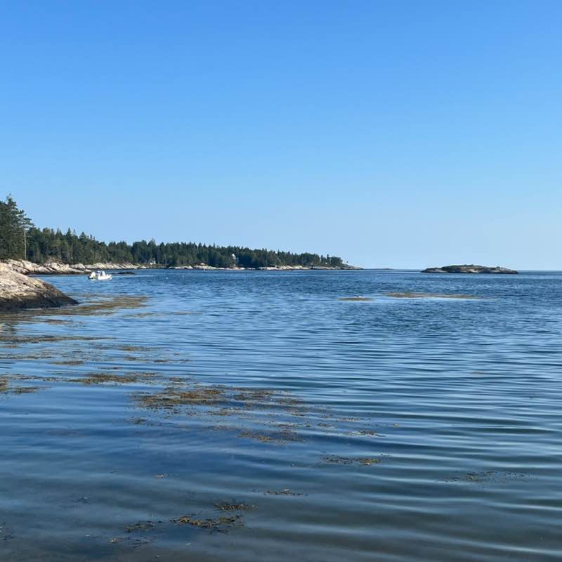 🏔Nature Group🏔 Runner🏃‍♂️ post image