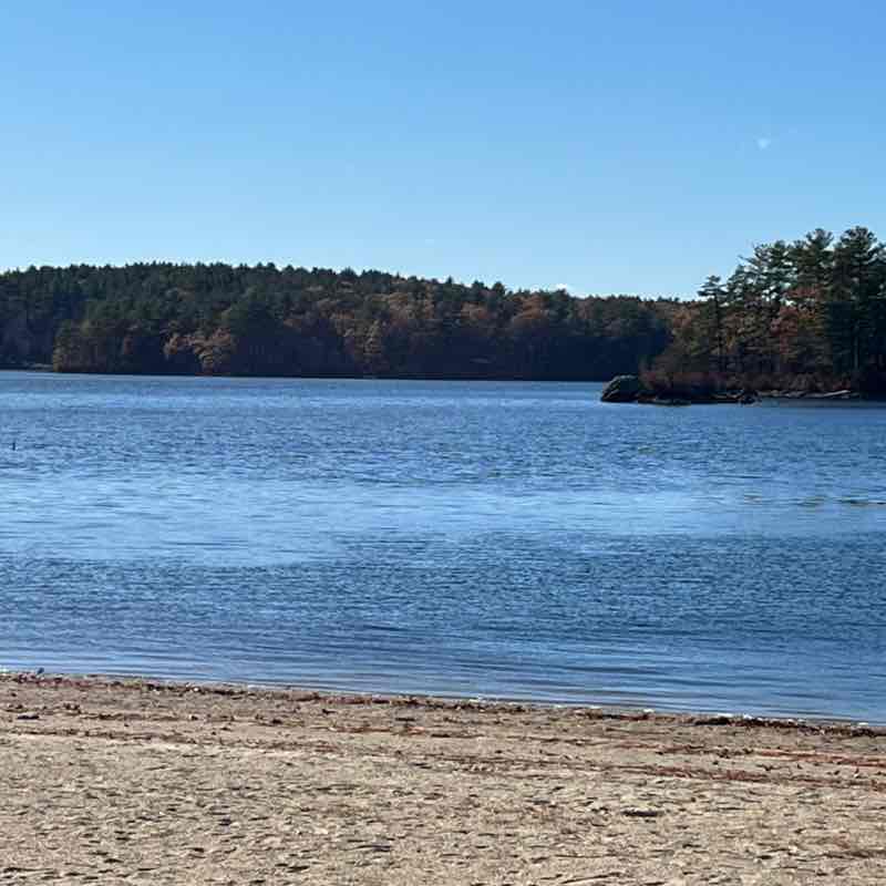 🏔Nature Group🏔 Runner🏃‍♂️ post image