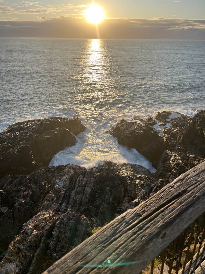 walking near me in Brelsford Park in summer