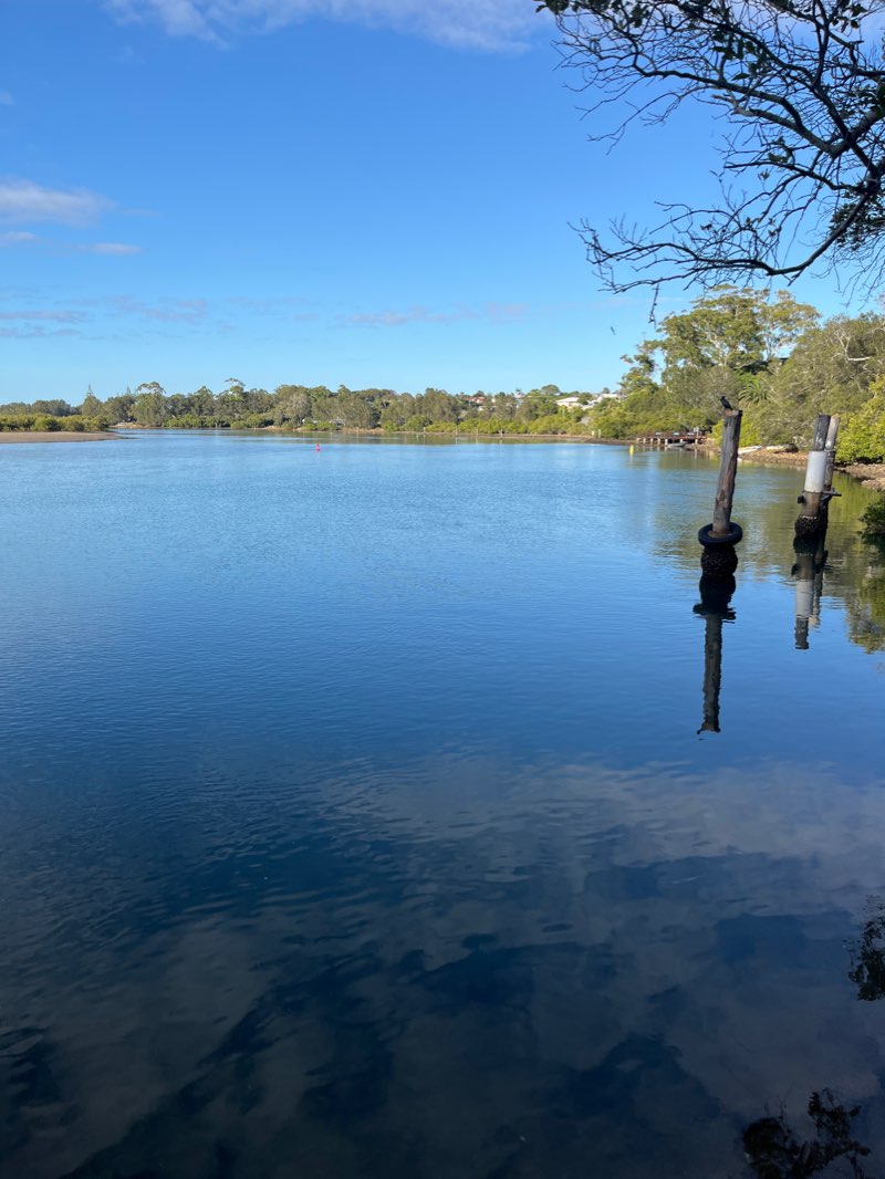 walking near me in McClung Park in summer