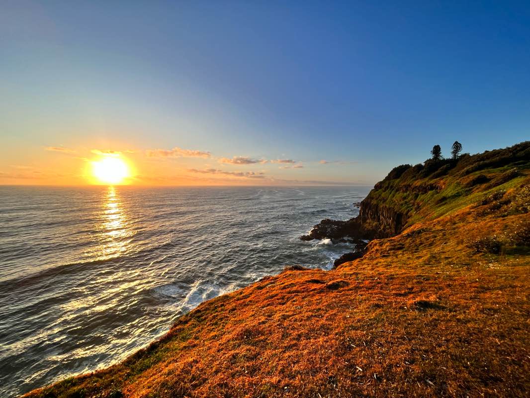 walking near me in Shaws Bay Foreshore Reserve in summer