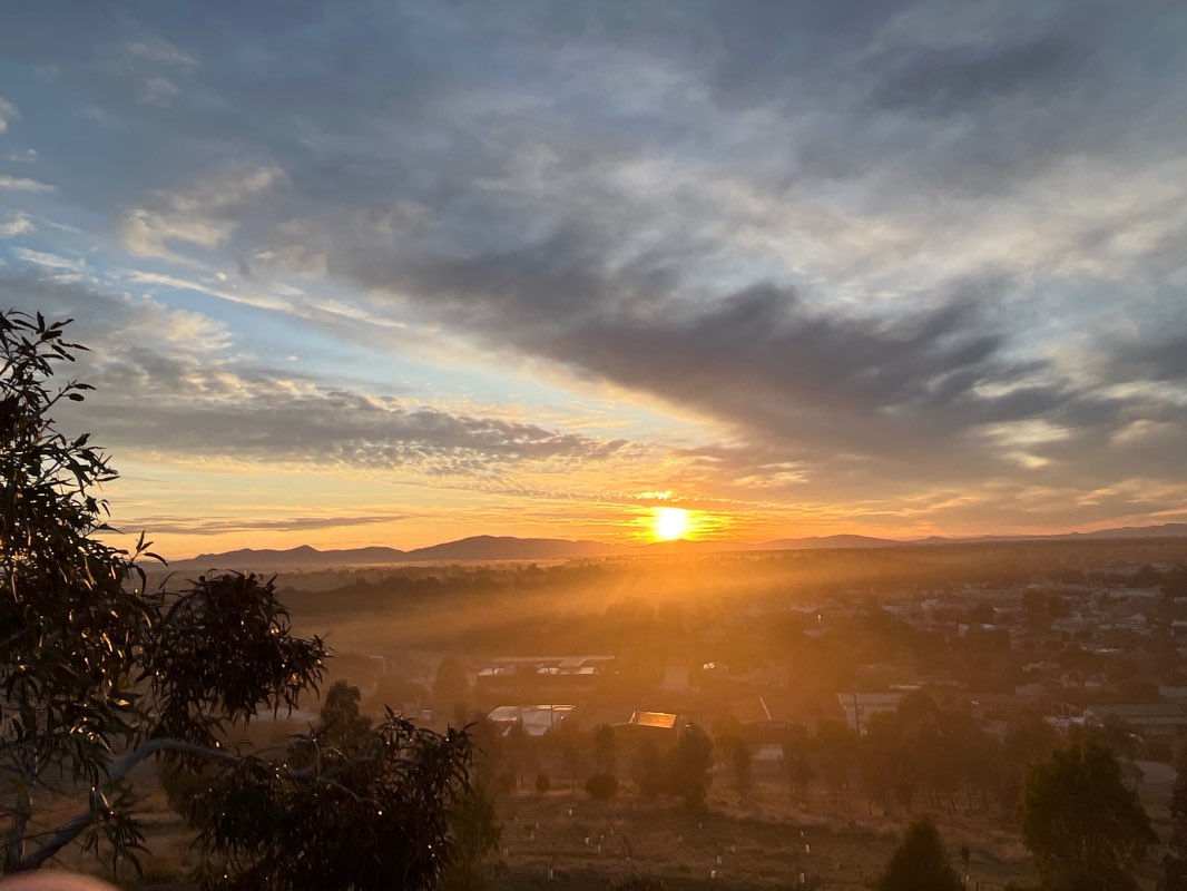 walking near me in Pensioners Hill Reserve in summer