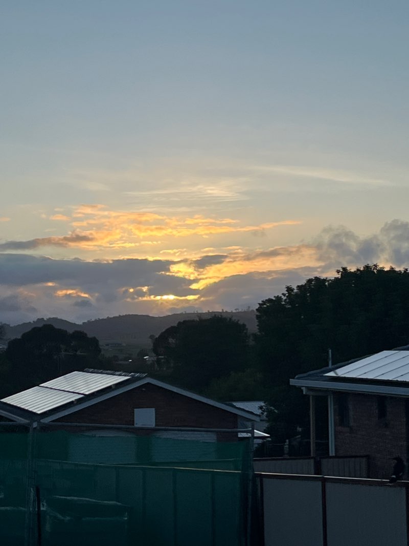 walking near me in Rugby League Park in summer