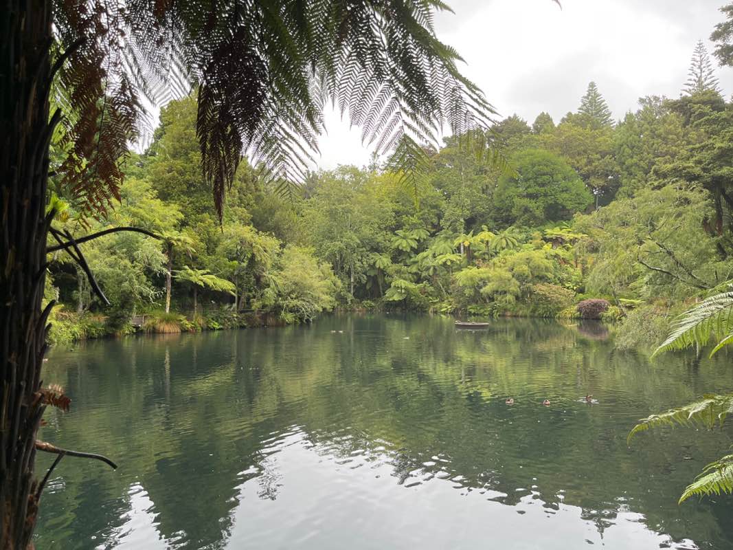 walking near me in Pukekura Park in summer