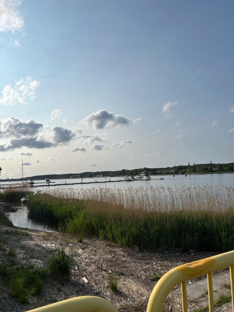 walking near me in Skwer im. Macieja Kosycarza in spring