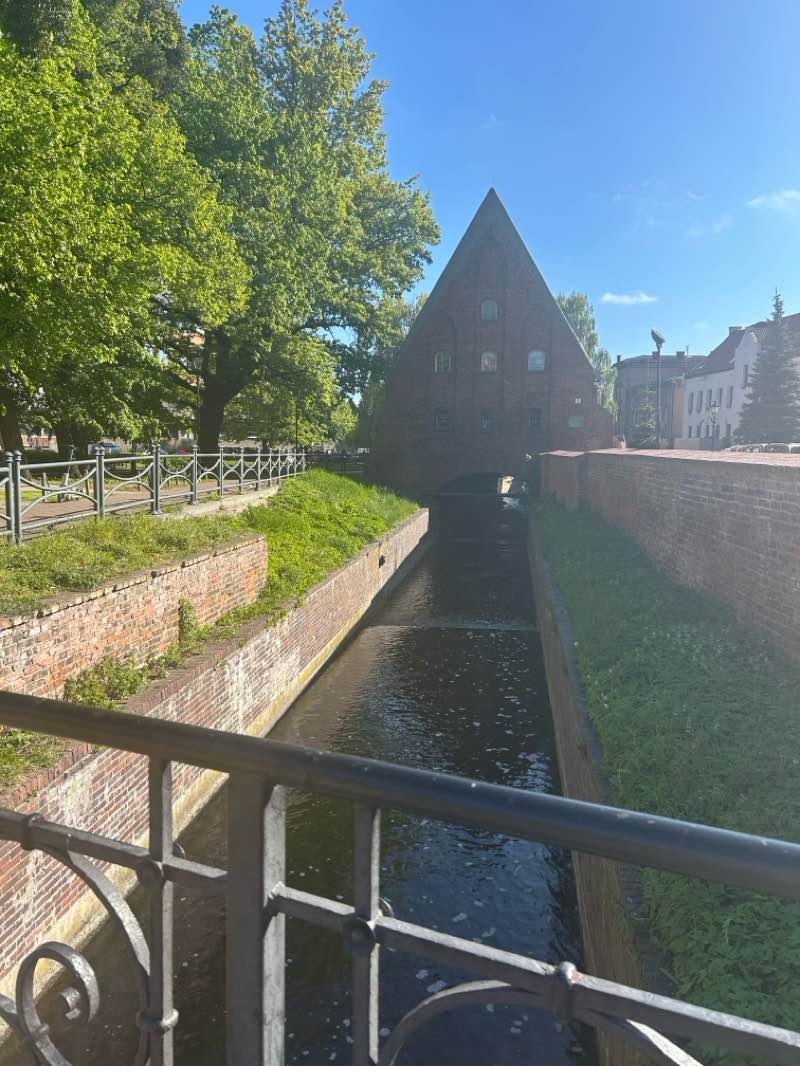 walking near me in Skwer im. Polskich Harcerzy w byłym Wolnym Mieście Gdańsku in spring