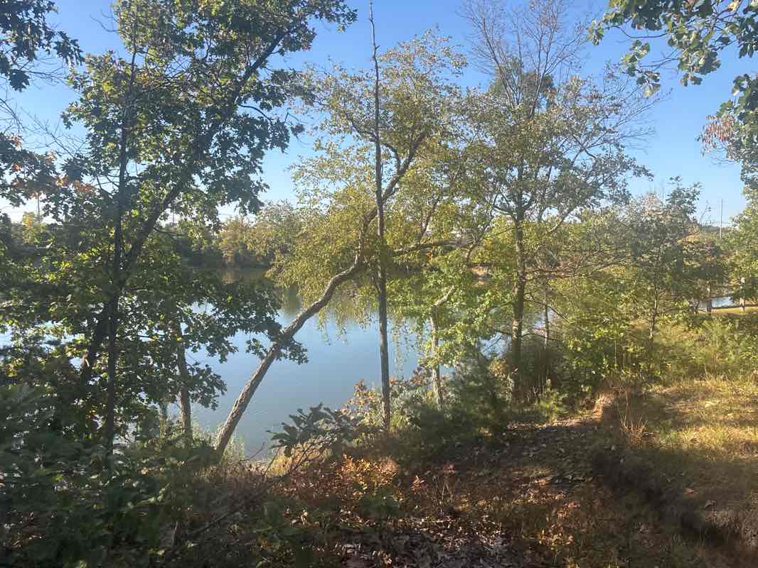 walking near me in Willingboro Lakes Park in winter