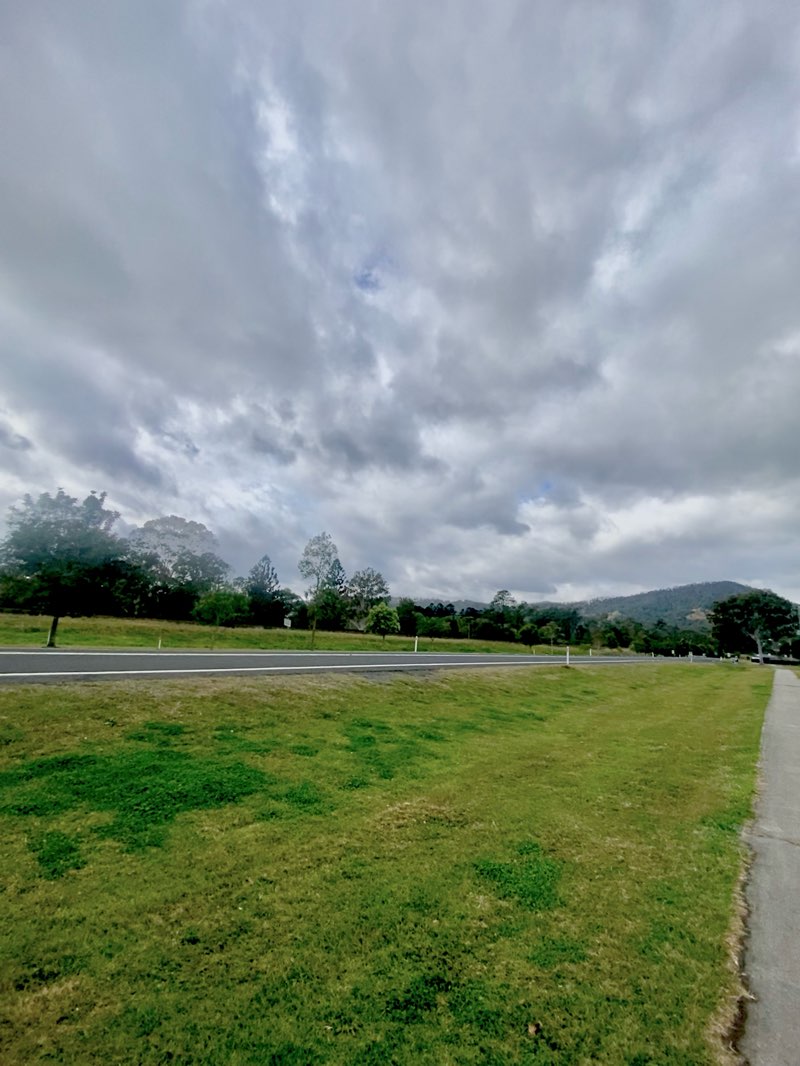 walking near me in Anzac Park in summer