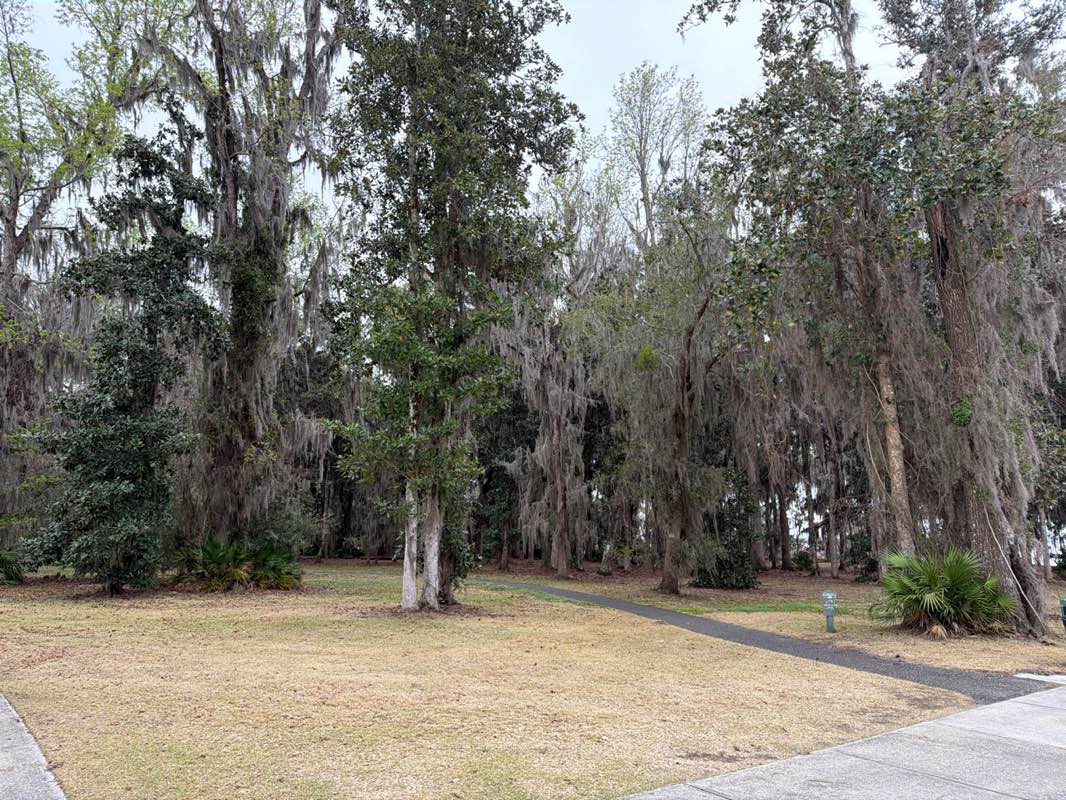 walking near me in River Town Park in spring