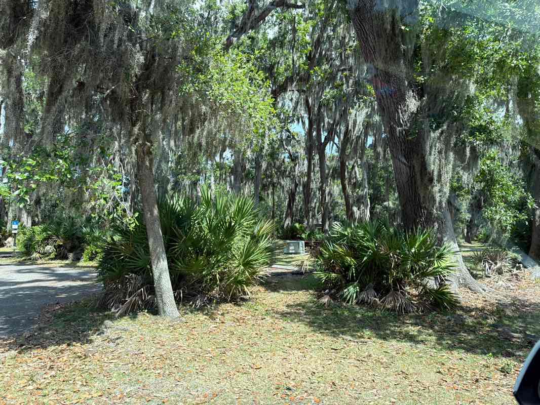 walking near me in River Town Park in summer