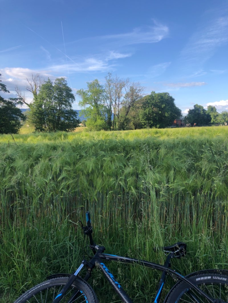 walking near me in Schwimmbad Eichholz in winter