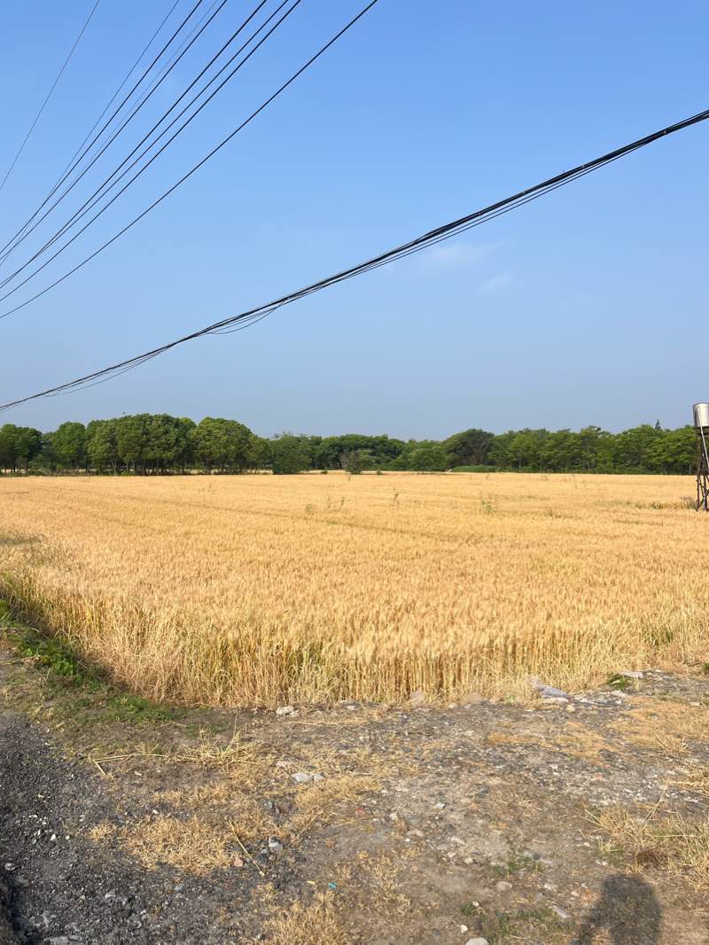 walking near me in 新龙森林公园(东区) in winter
