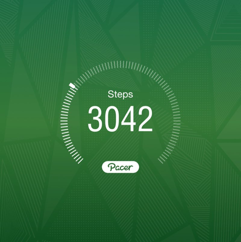 PacerGal_1988 post 1