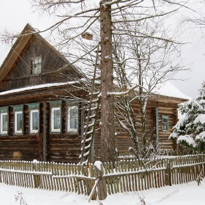 March Steps Challenge Тамбовский 🐯 post image