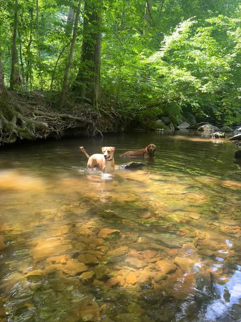 walking near me in The Willows in winter