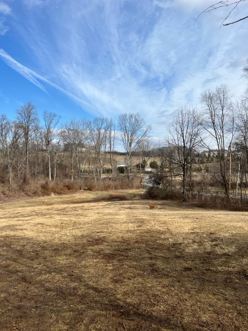 walking near me in Skunk Hollow in winter
