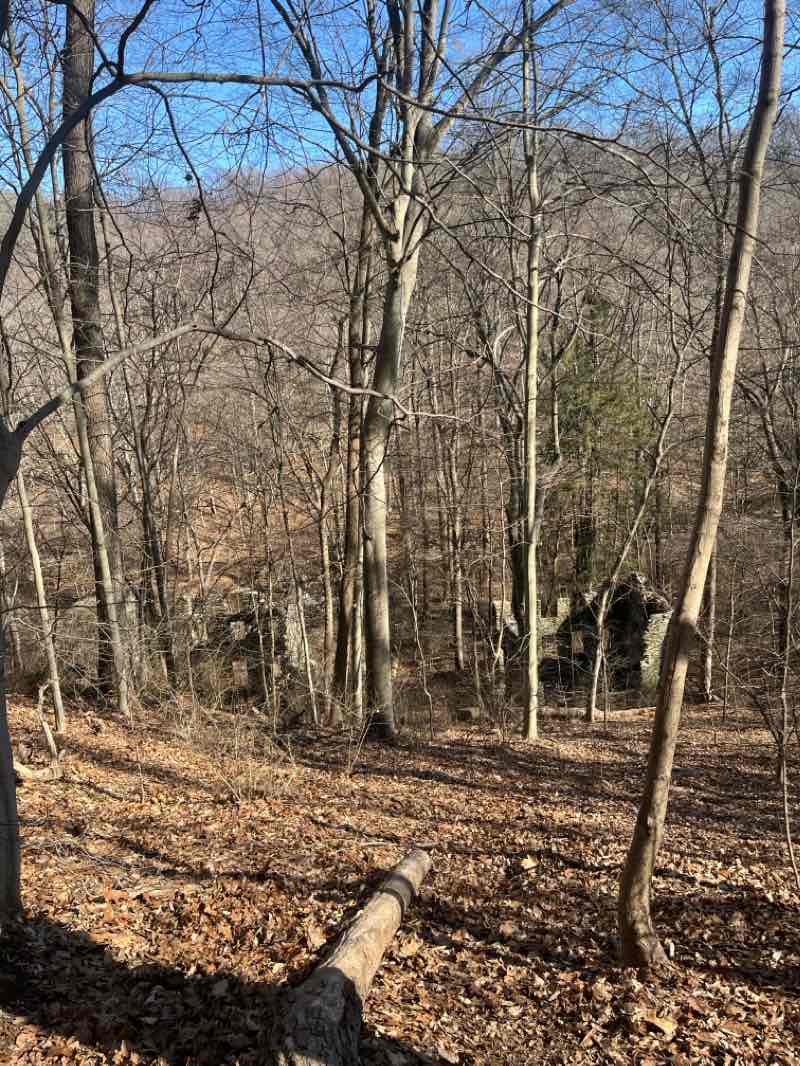 walking near me in Mill Creek Valley Park in winter