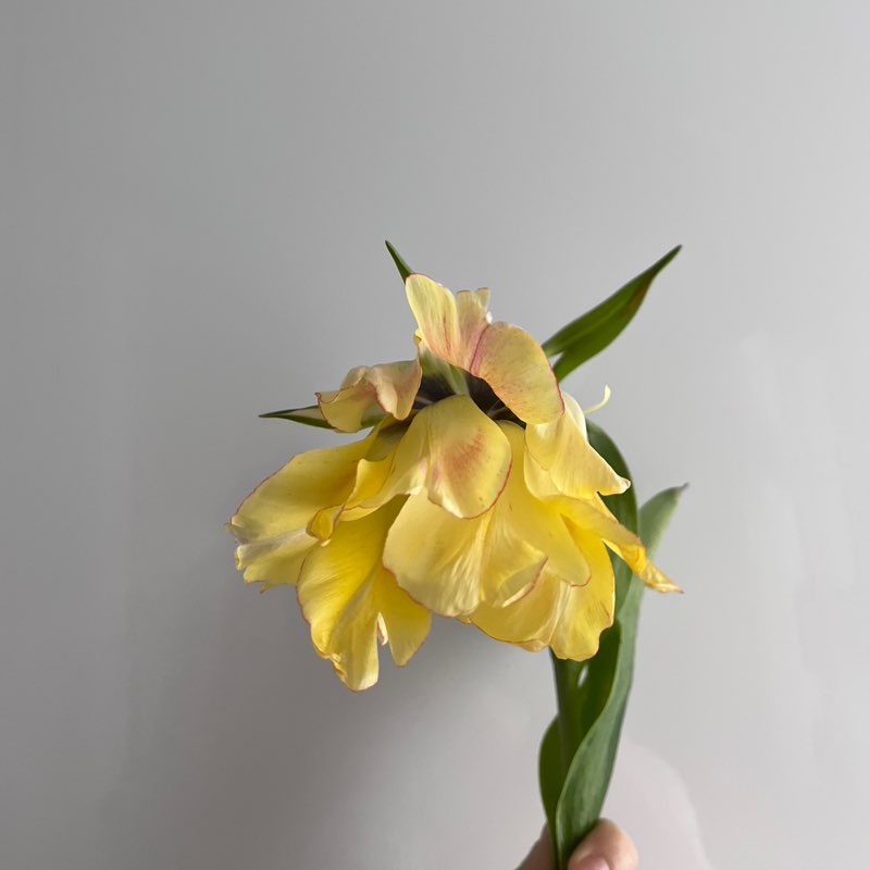 Sviatlana Kazakevich