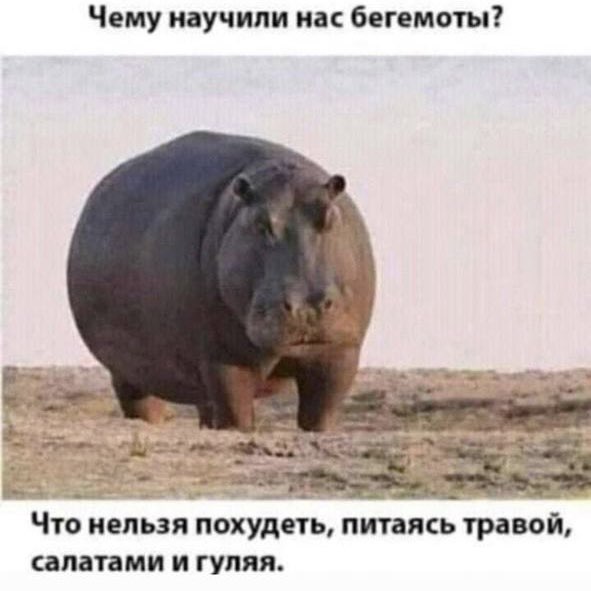 Sviatlana Kazakevich post 1