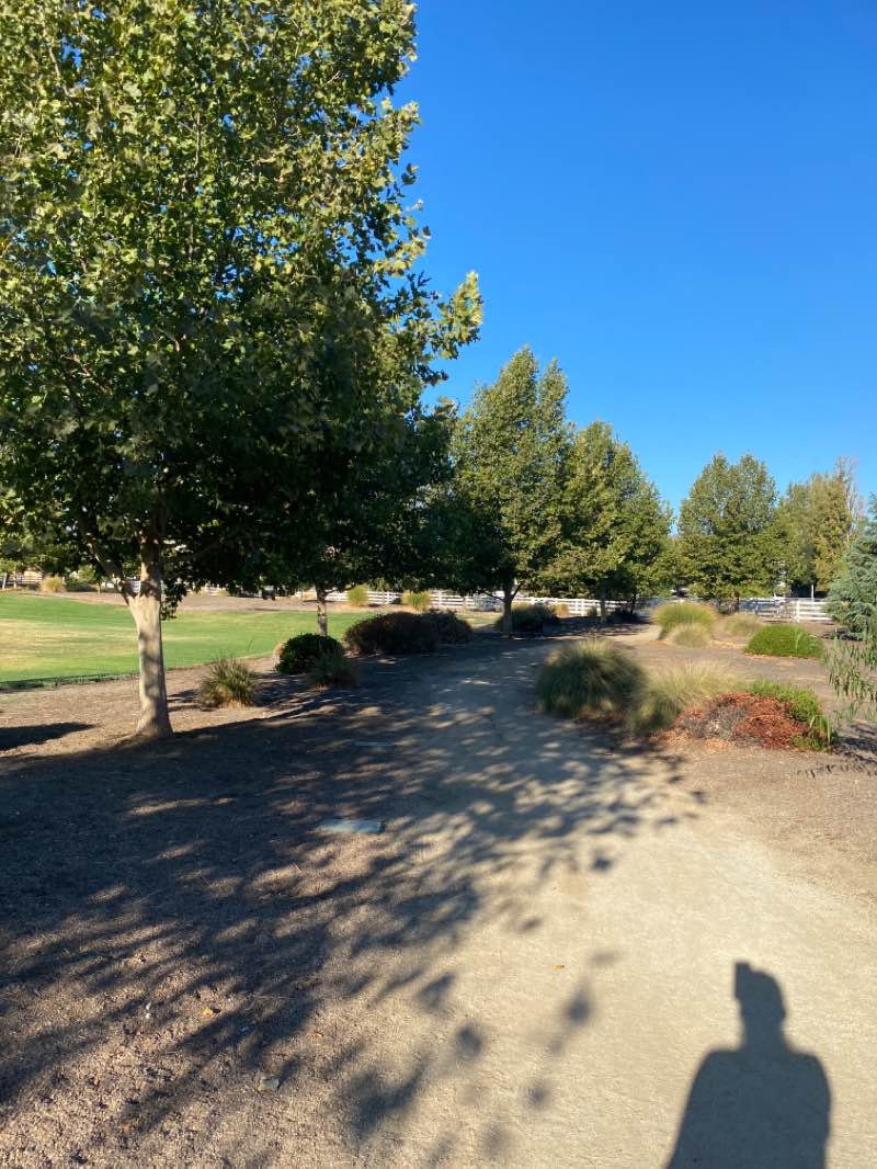 walking near me in Walnut Park in winter