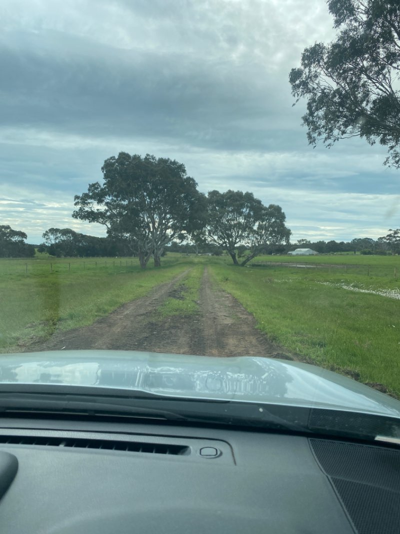 walking near me in Blood Paddock Nature Conservation Reserve in summer