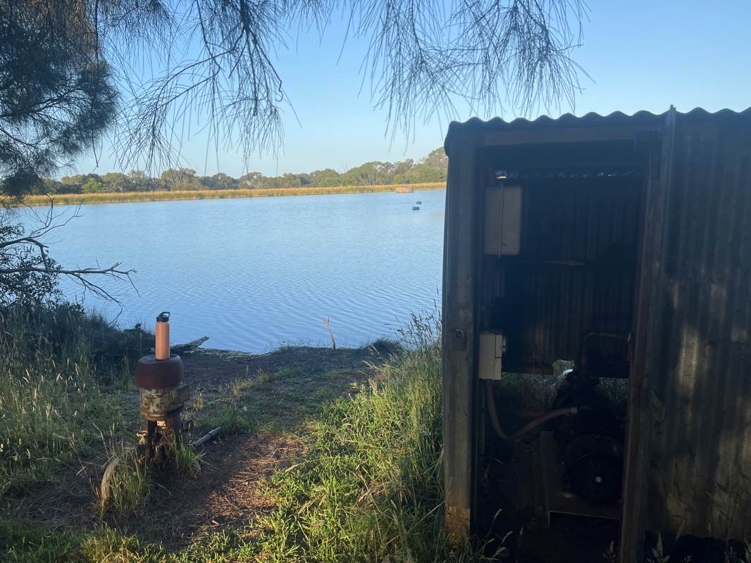 walking near me in Bree Park in summer