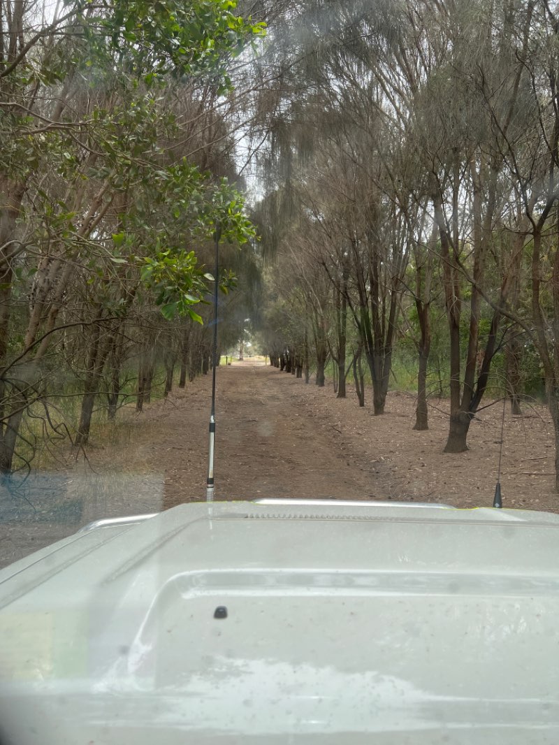 walking near me in Beersheba Memorial Park in summer