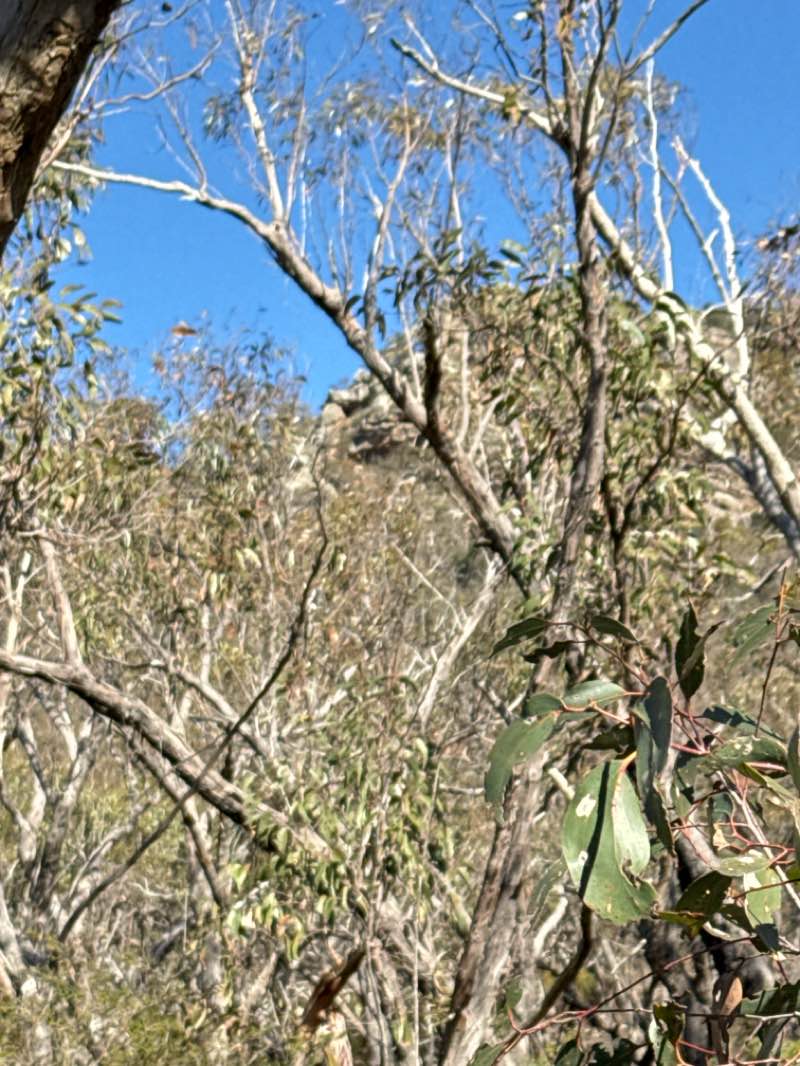 walking near me in Grampians National Park in spring
