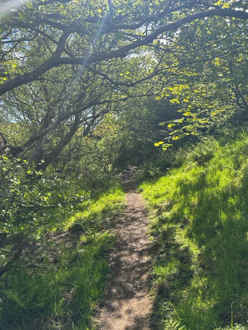 walking near me in St Abb's Head NNR in summer