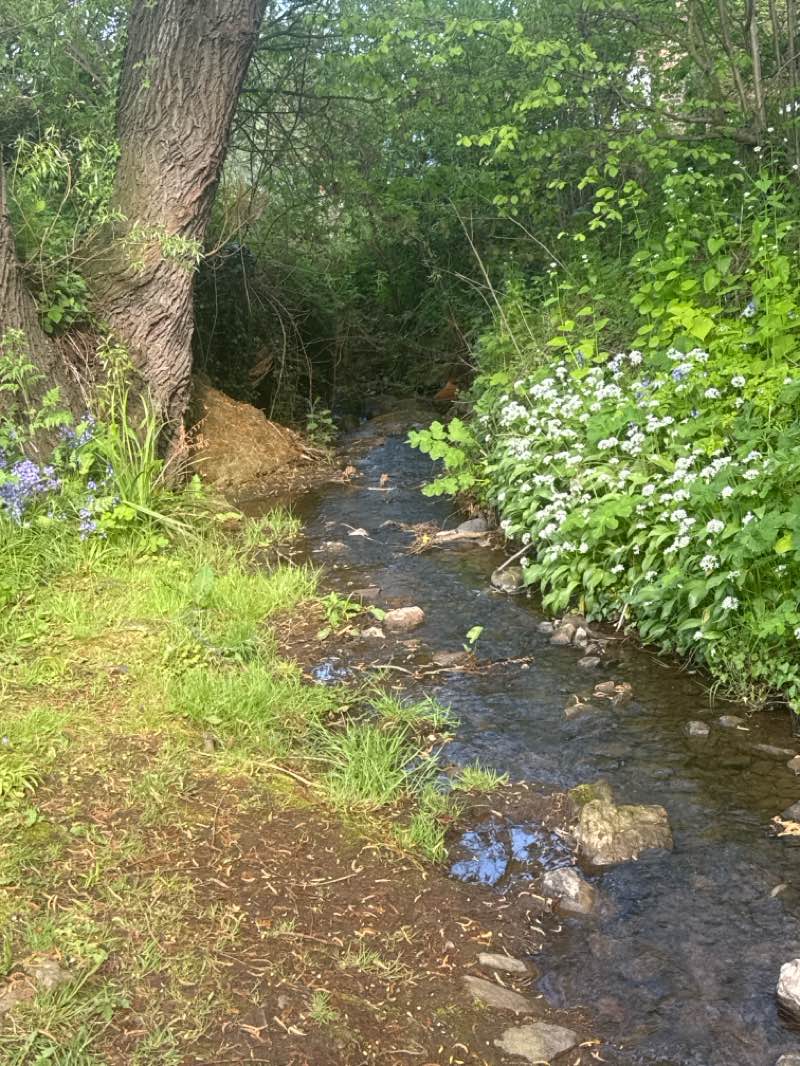 walking near me in Coldingham Play Park in summer