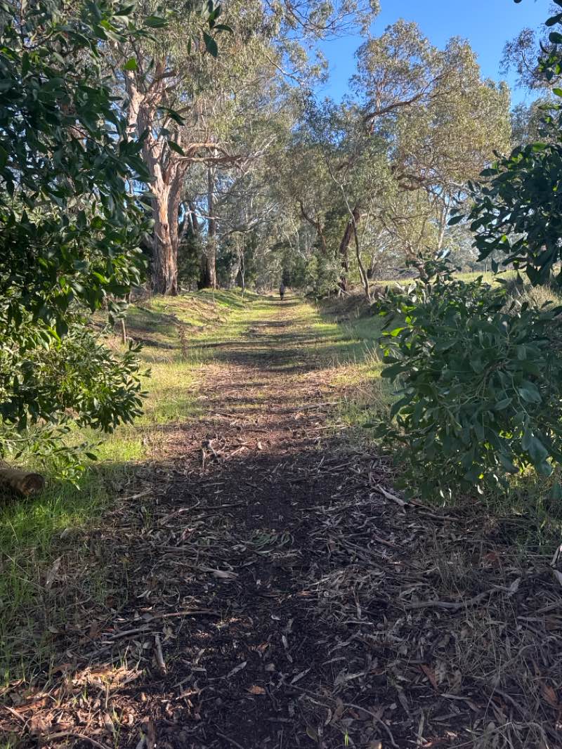 walking near me in Bochara Natural Features Reserve in winter