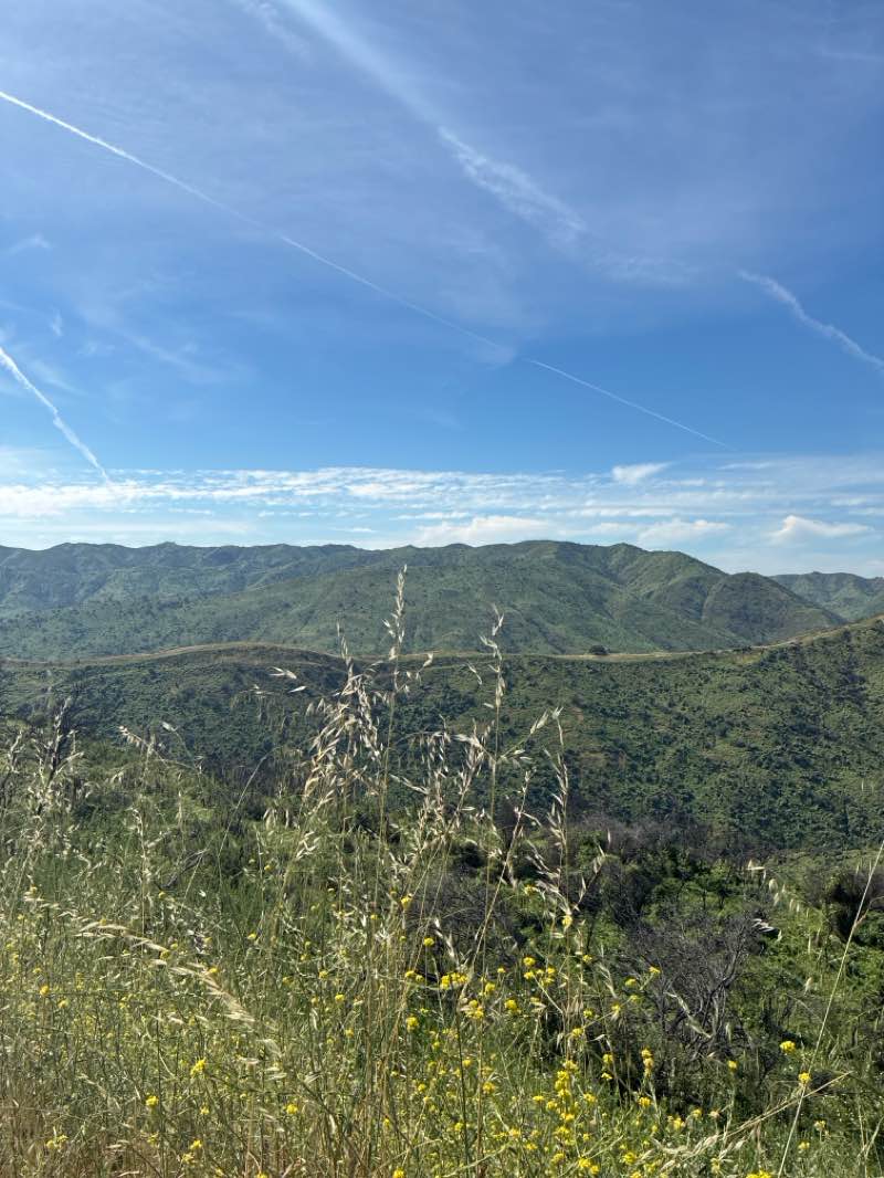 walking near me in Santa Monica Mountains National Recreation Area in spring