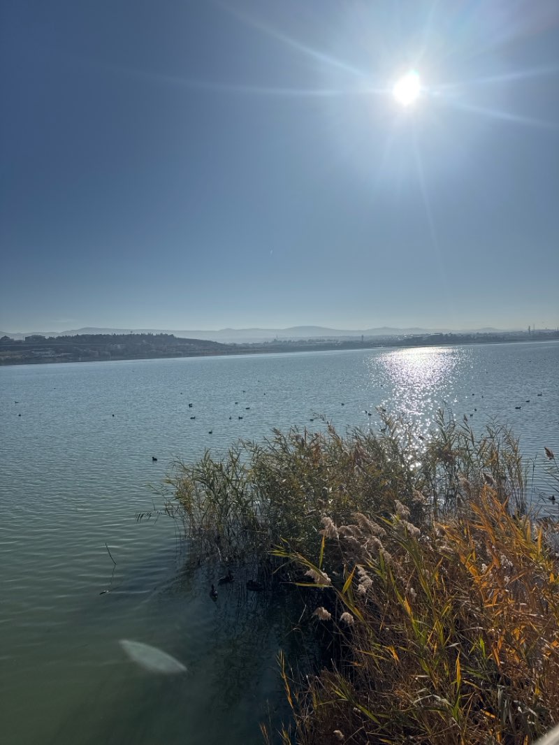 walking near me in Atatürk Sahil Parkı in autumn