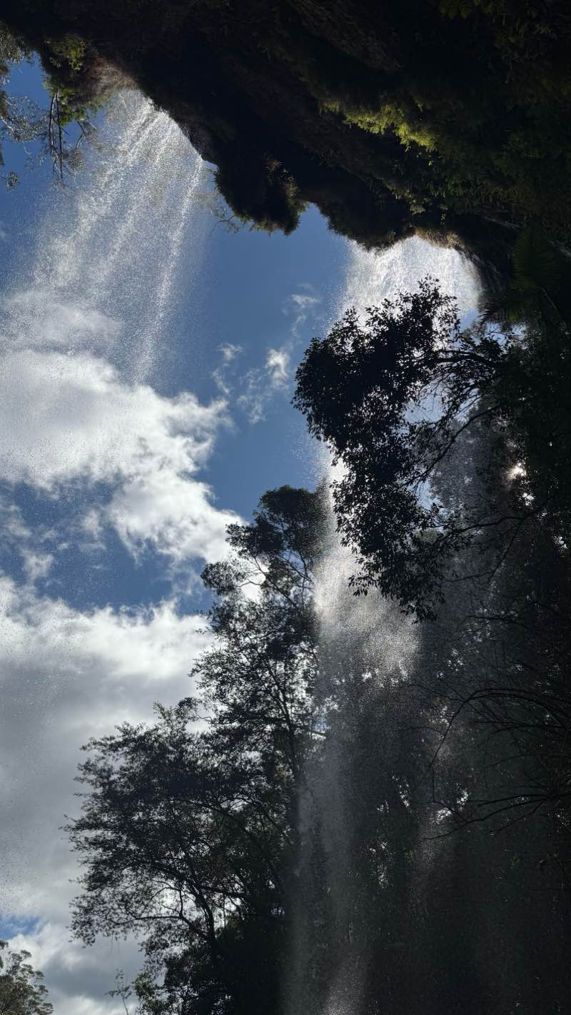 walking near me in Springbrook National Park in autumn