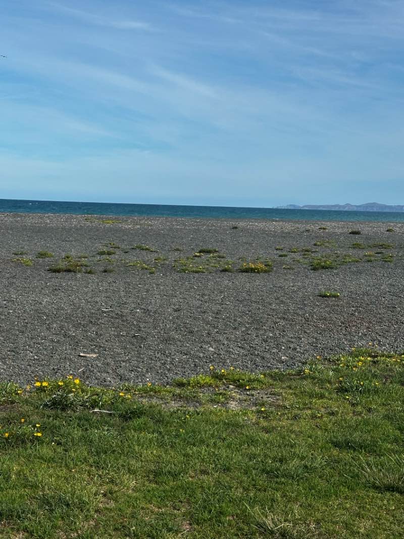 walking near me in Spriggs Park in summer