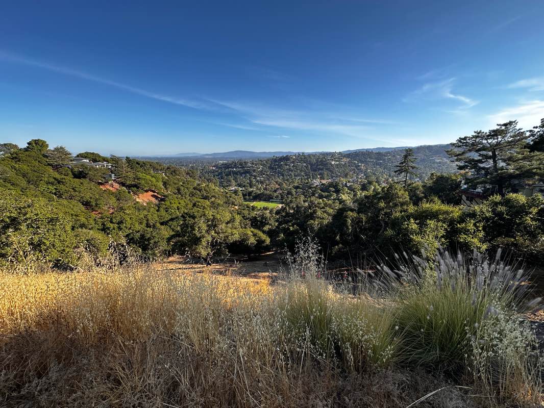 walking near me in Arguello Park in winter